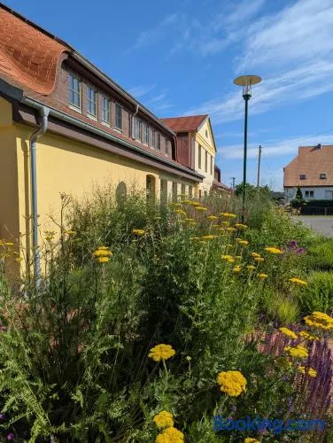 Ferienwohnungen - barrierefrei - im sanierten Gutshof - Image 1