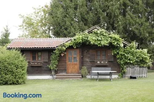 Gemütliche Blockhütte mit großem Garten - Image 1