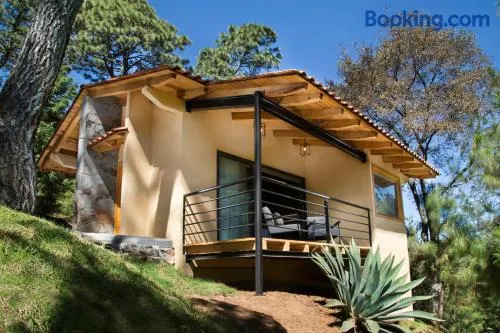 Bosque Escondido - Image 1