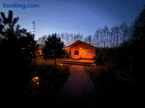 The Love Nest - Image 1