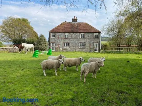Charlton End - Goodwood Events - Image 1