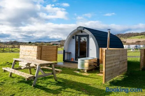 Wyke Lodges - Pod 1 - Image 1