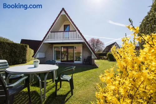Aalscholver I Nette Vrijstaande Vakantiewoning - Image 1