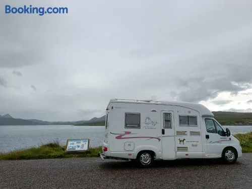 Rover Rentals - Image 1