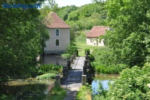 Le moulin brûlé - Image 1