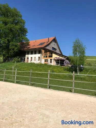 Sérénité et Nature dans une ferme équestre - loft lumineux de 140m2 - Image 1