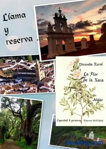 La Flor De La Xara - Image 1