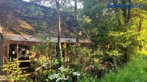 Het Vogelhuisje - Image 1
