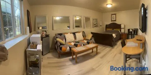West Side Grand Rapids 2 room apartment close to everything - Image 1