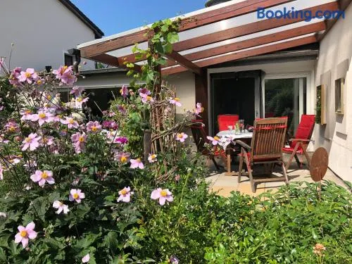 Gartenblick - Image 1