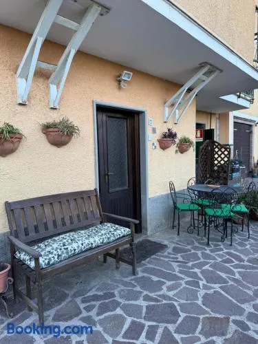Il Cactus - Image 1