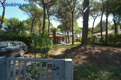 Lignano cheap - Image 1