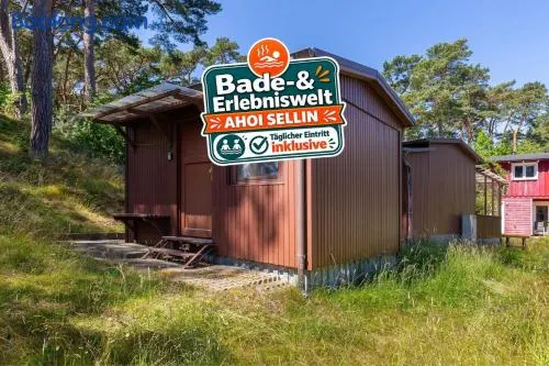 Ferienhaus am Strand 92a - Bade- & Erlebniswelt täglich inklusive - Image 1
