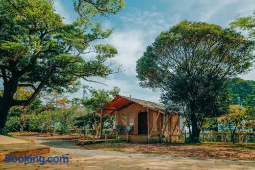 Aoshima Picnic Club - Image 1
