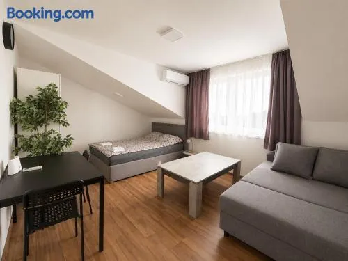 Spacious apartment close to Vienna in a calm area - Image 1