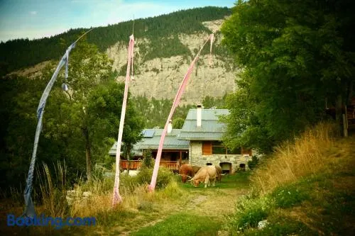 Consulat des Elohim chez Allan et Lili-Peace - Image 1