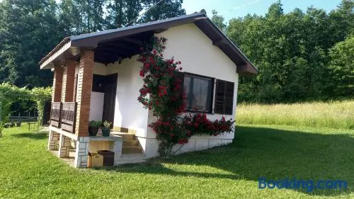 Šumska čarolija - Image 1