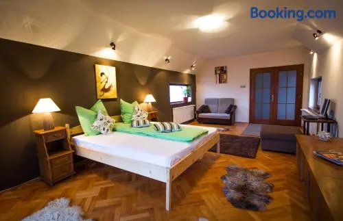 Villa Townhouse 36 Sibiu - Image 1