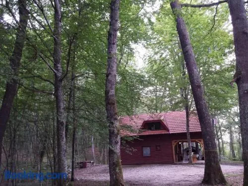 Holiday Home Ana - Image 1