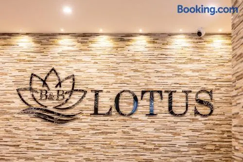 Lotus B&B - Image 1