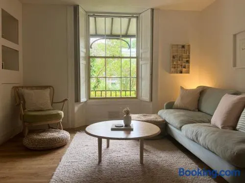 Cosy, convenient flat in Falmouth - Image 1