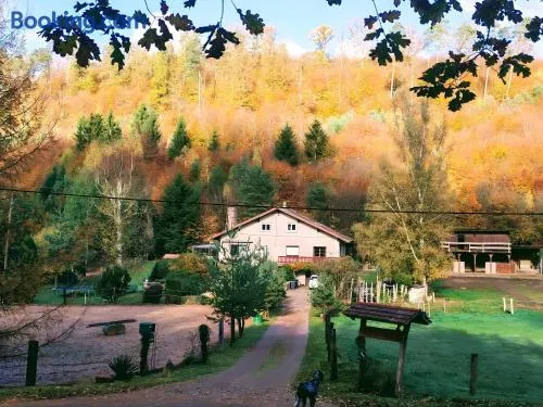 Gîte de la vallée, En Pleine Forêt - Image 1