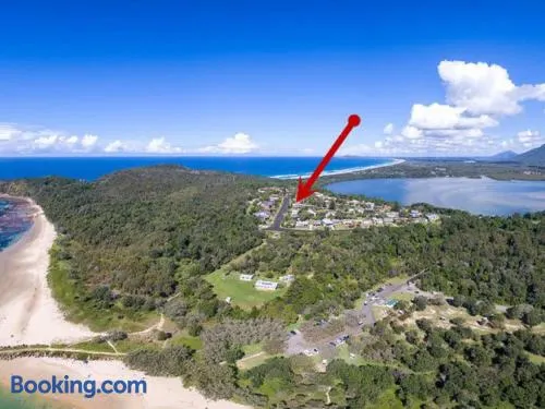 Rio - Image 1
