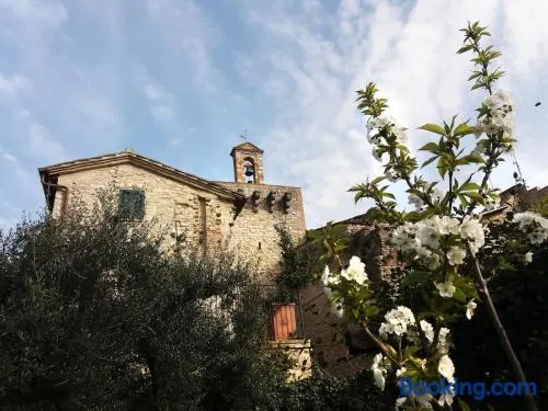 Casa intera con giardino - Image 1