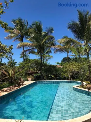 Bromélia Blue - Image 1
