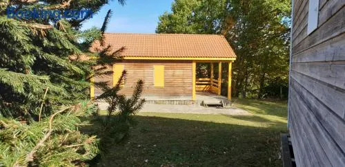 19 Chalet Gazania - Image 1