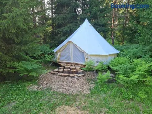 Raja metsaglämping - Image 1