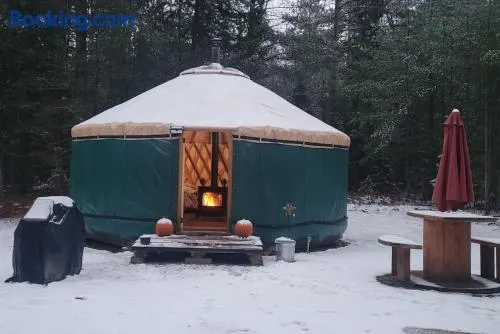 Ava Jade Yurt - Image 1