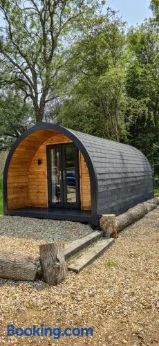 Springfield oaks Glamping Pod - Image 1