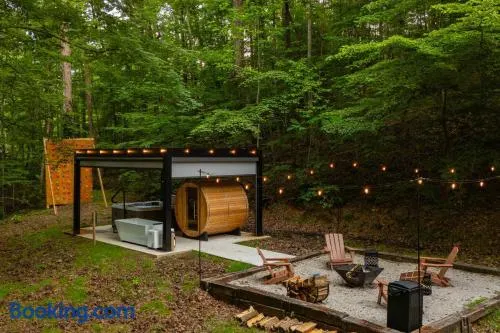 S'more Memories-Cold Plunge, Sauna, Hot Tub Wellness Retreat - Image 1