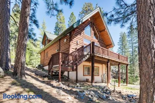 Blue Lake Springs Log Cabin dog friendly - Image 1
