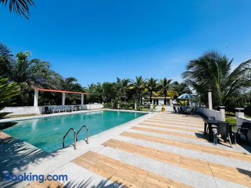Cojimies Suite - Image 1