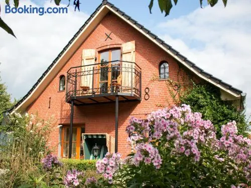 Appartamento con griglia, giardino e terrazza | Vista sul giardino - Image 1