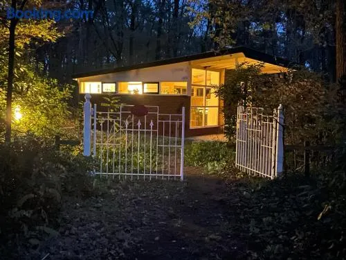 Ecolodge Bergzicht de Specht Luxe boshuis - Image 1