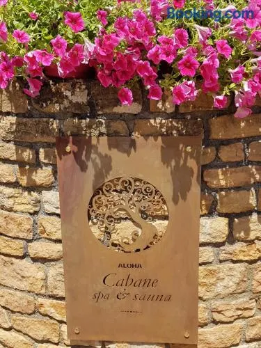 Cabane Spa Sauna - Image 1