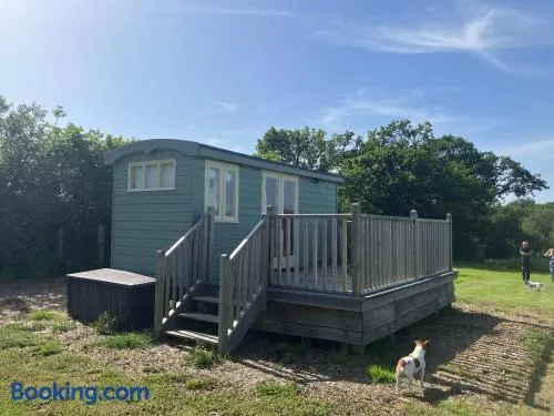 Arcadia Shepherds Hut - Image 1