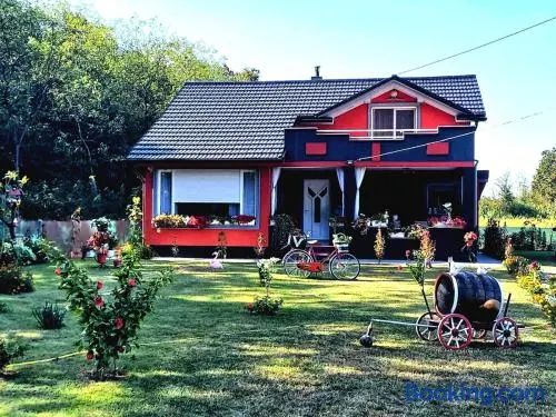 Villa Forest - Image 1