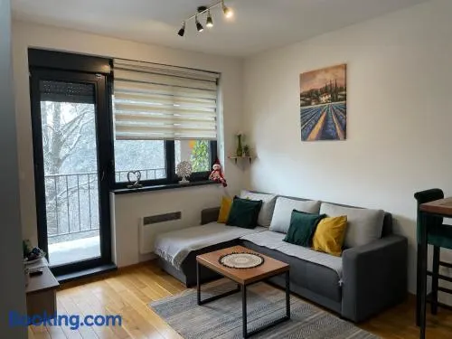 Zlatni Bor Apartment - Image 1