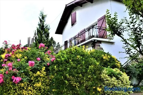 Loretxea - Image 1