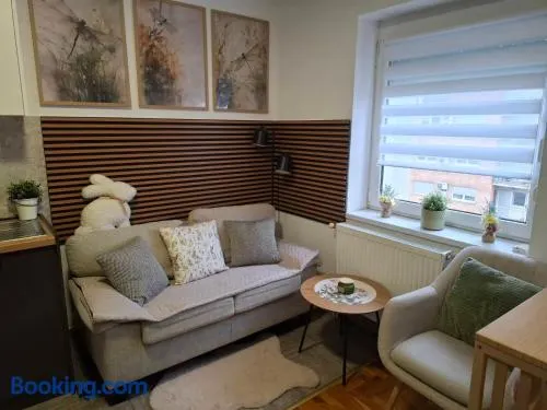 NS Urban Stay-Studio with Balcony and Free Parking - Image 1