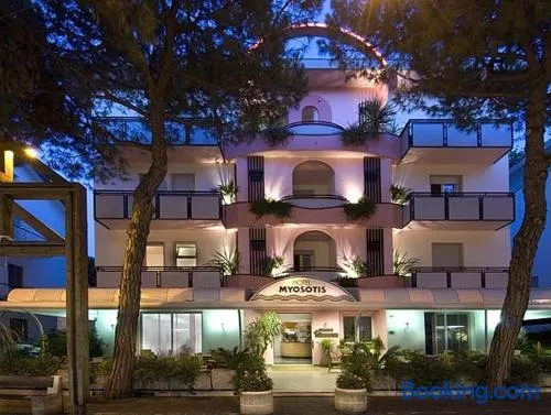 Hotel Myosotis - Image 1