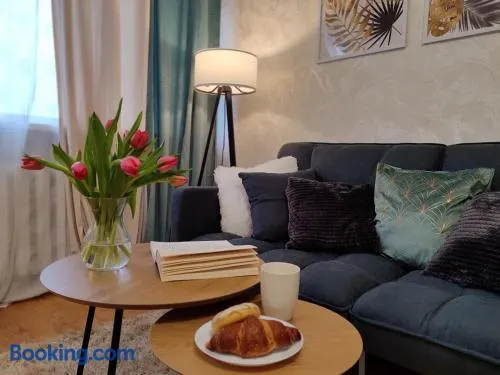 Narva Vahtra Apartment - Image 1