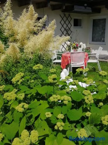 Secret garden house in the center of Sigulda - Image 1