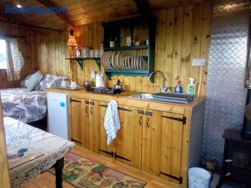 Lower Haven Shepherds Hut - Image 1