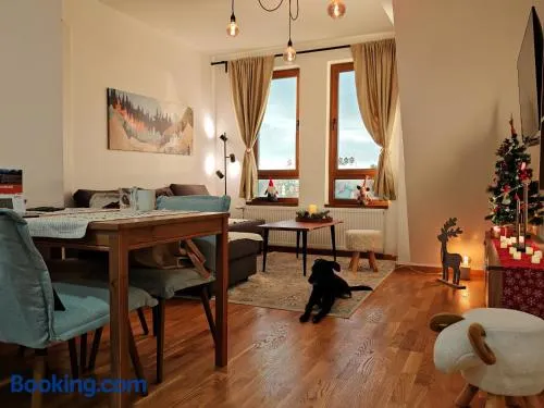 Aries apartman Divčibare - Image 1