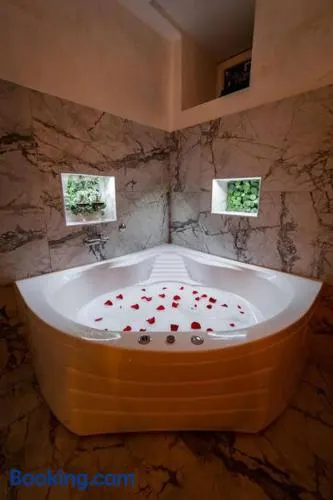 Lisa Zemun Spa Apartment - Image 1
